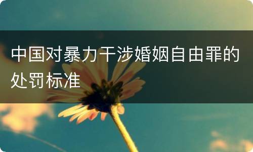 中国对暴力干涉婚姻自由罪的处罚标准