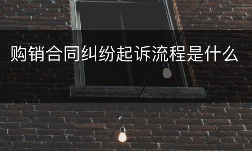 购销合同纠纷起诉流程是什么