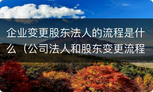 企业变更股东法人的流程是什么（公司法人和股东变更流程）