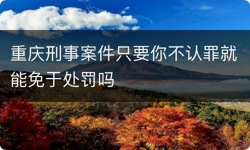 重庆刑事案件只要你不认罪就能免于处罚吗