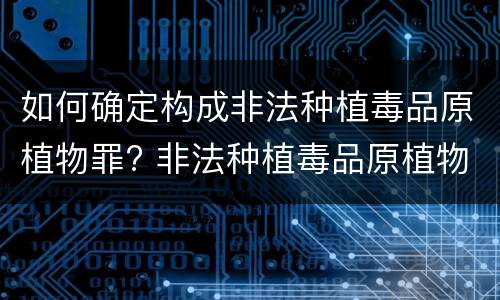 如何确定构成非法种植毒品原植物罪? 非法种植毒品原植物罪情节严重的三种情形是什么