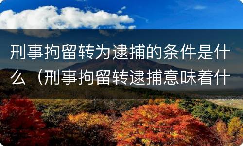 刑事拘留转为逮捕的条件是什么（刑事拘留转逮捕意味着什么）