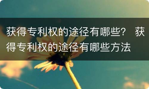 获得专利权的途径有哪些？ 获得专利权的途径有哪些方法