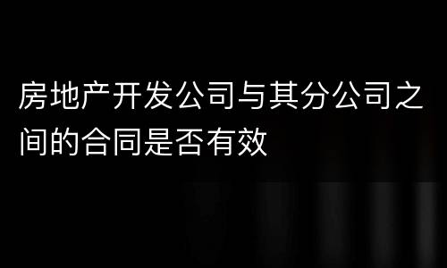 房地产开发公司与其分公司之间的合同是否有效