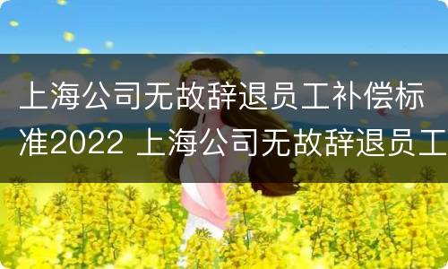 上海公司无故辞退员工补偿标准2022 上海公司无故辞退员工补偿标准2022最新