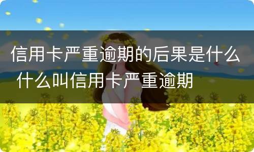 信用卡严重逾期的后果是什么 什么叫信用卡严重逾期