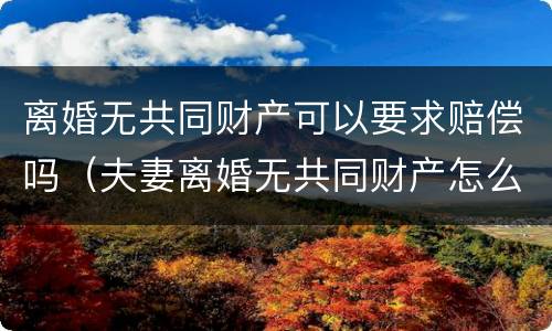 离婚无共同财产可以要求赔偿吗（夫妻离婚无共同财产怎么能得到赔偿）