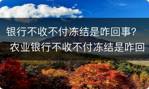 银行不收不付冻结是咋回事？ 农业银行不收不付冻结是咋回事