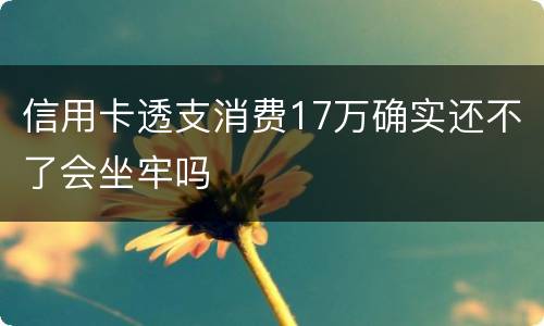 信用卡透支消费17万确实还不了会坐牢吗