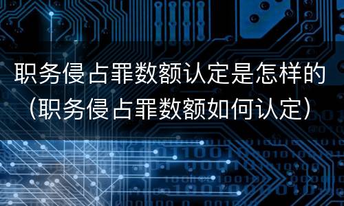 职务侵占罪数额认定是怎样的（职务侵占罪数额如何认定）