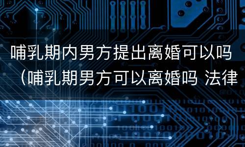 哺乳期内男方提出离婚可以吗（哺乳期男方可以离婚吗 法律允许吗）