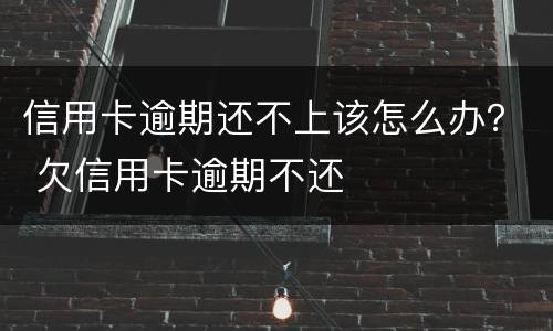 信用卡逾期还不上该怎么办？ 欠信用卡逾期不还