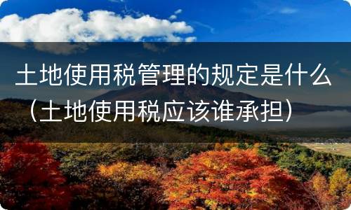 土地使用税管理的规定是什么（土地使用税应该谁承担）