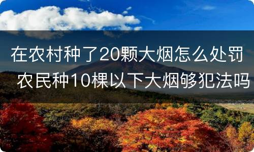 在农村种了20颗大烟怎么处罚 农民种10棵以下大烟够犯法吗