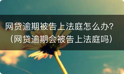 网贷逾期被告上法庭怎么办？（网贷逾期会被告上法庭吗）