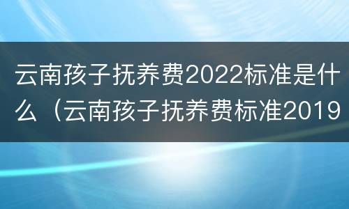 云南孩子抚养费2022标准是什么（云南孩子抚养费标准2019）