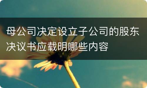 母公司决定设立子公司的股东决议书应载明哪些内容