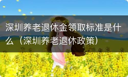 深圳养老退休金领取标准是什么（深圳养老退休政策）