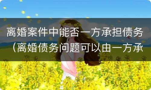 离婚案件中能否一方承担债务（离婚债务问题可以由一方承担吗）