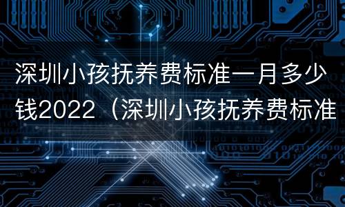 深圳小孩抚养费标准一月多少钱2022（深圳小孩抚养费标准一月多少钱2021年）