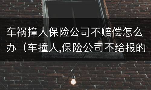 车祸撞人保险公司不赔偿怎么办（车撞人,保险公司不给报的部分怎么办）