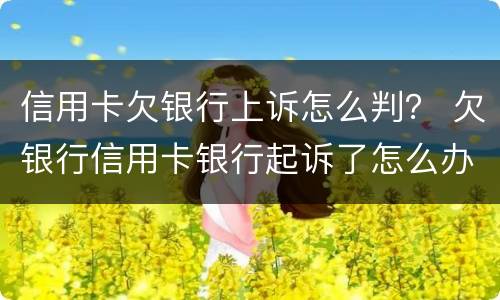 信用卡欠银行上诉怎么判？ 欠银行信用卡银行起诉了怎么办