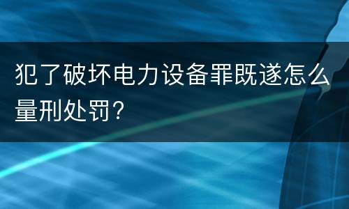 犯了破坏电力设备罪既遂怎么量刑处罚?