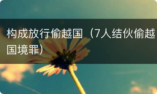 构成放行偷越国（7人结伙偷越国境罪）