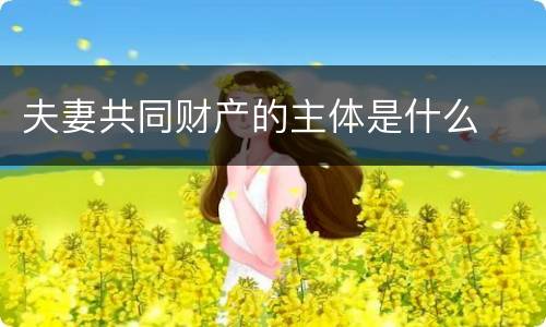 夫妻共同财产的主体是什么