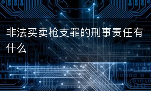 非法买卖枪支罪的刑事责任有什么
