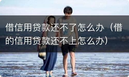 借信用贷款还不了怎么办（借的信用贷款还不上怎么办）