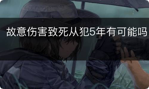 故意伤害致死从犯5年有可能吗