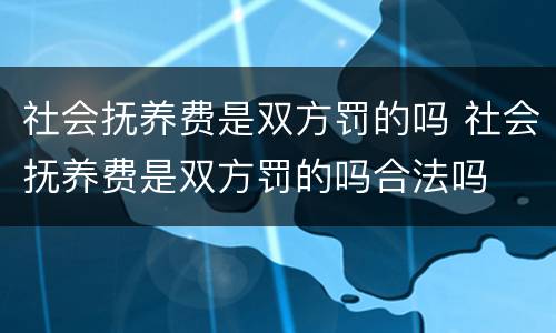 社会抚养费是双方罚的吗 社会抚养费是双方罚的吗合法吗
