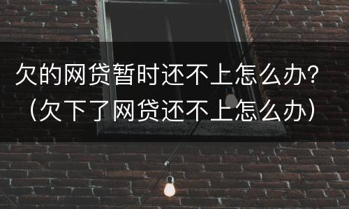 欠的网贷暂时还不上怎么办？（欠下了网贷还不上怎么办）