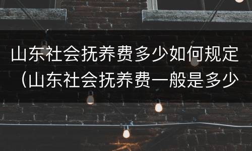 山东社会抚养费多少如何规定（山东社会抚养费一般是多少）