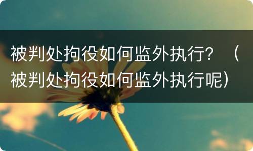 被判处拘役如何监外执行？（被判处拘役如何监外执行呢）
