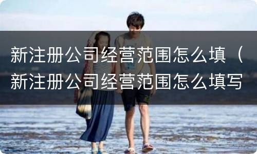 新注册公司经营范围怎么填（新注册公司经营范围怎么填写）