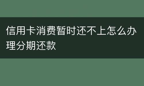 信用卡消费暂时还不上怎么办理分期还款