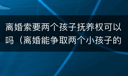 离婚索要两个孩子抚养权可以吗（离婚能争取两个小孩子的抚养权么）
