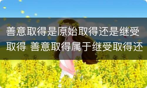 善意取得是原始取得还是继受取得 善意取得属于继受取得还是原始取得