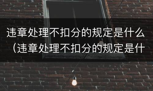 违章处理不扣分的规定是什么（违章处理不扣分的规定是什么呢）