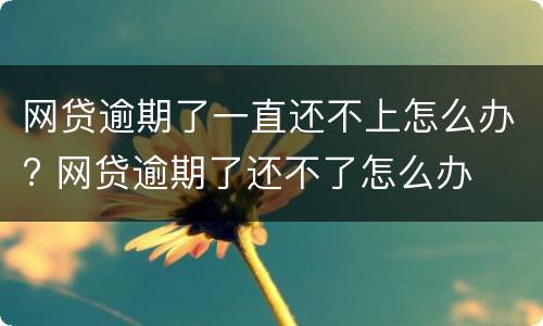 网贷逾期了一直还不上怎么办? 网贷逾期了还不了怎么办