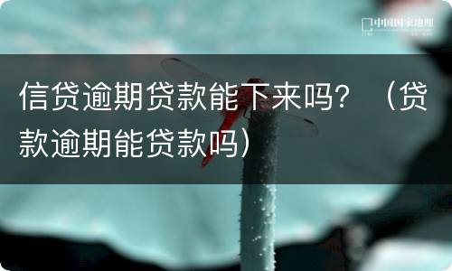 信贷逾期贷款能下来吗？（贷款逾期能贷款吗）