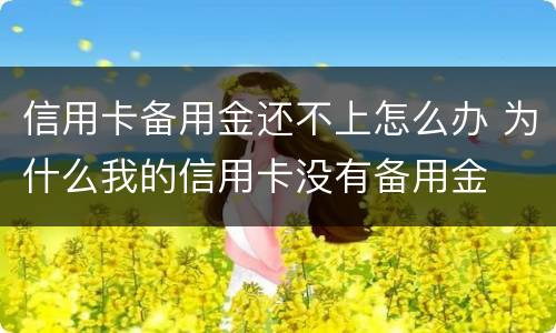 信用卡备用金还不上怎么办 为什么我的信用卡没有备用金