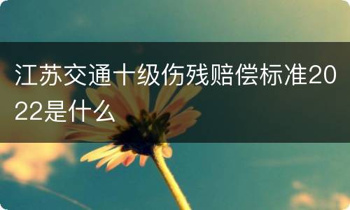 江苏交通十级伤残赔偿标准2022是什么