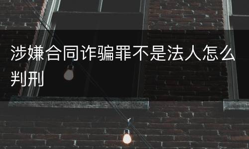 涉嫌合同诈骗罪不是法人怎么判刑