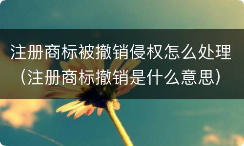 注册商标被撤销侵权怎么处理（注册商标撤销是什么意思）