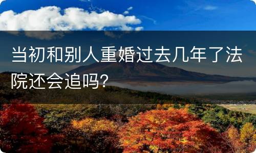 当初和别人重婚过去几年了法院还会追吗？