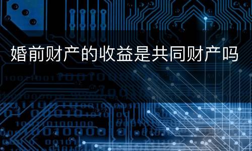 婚前财产的收益是共同财产吗
