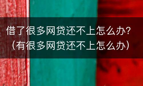 借了很多网贷还不上怎么办？（有很多网贷还不上怎么办）